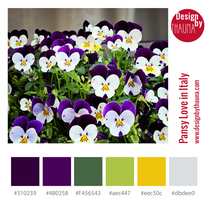 Pansy Love in Italy - Color Palette