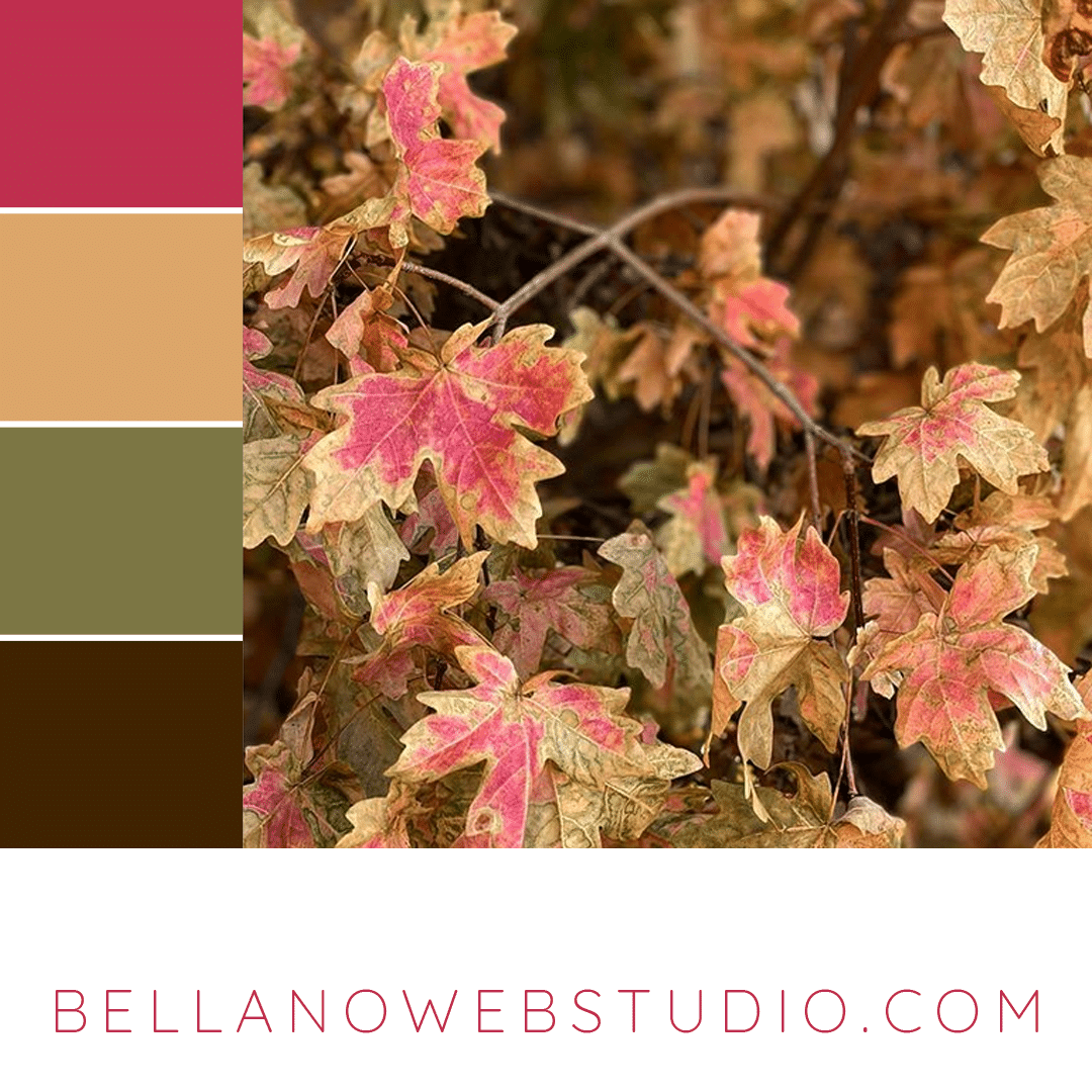 Fun October Color Palettes - Bellano Web Studio