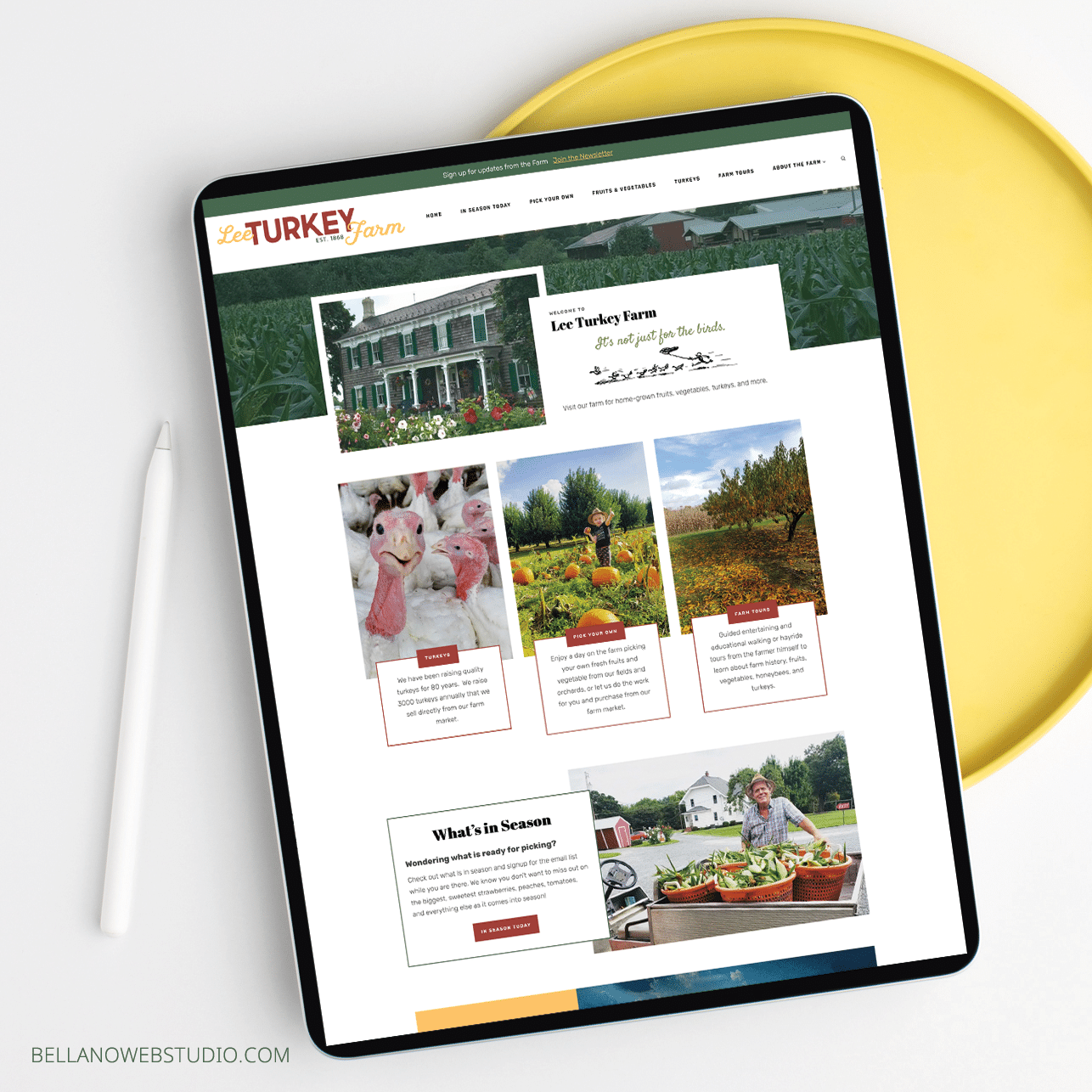 WordPress Design