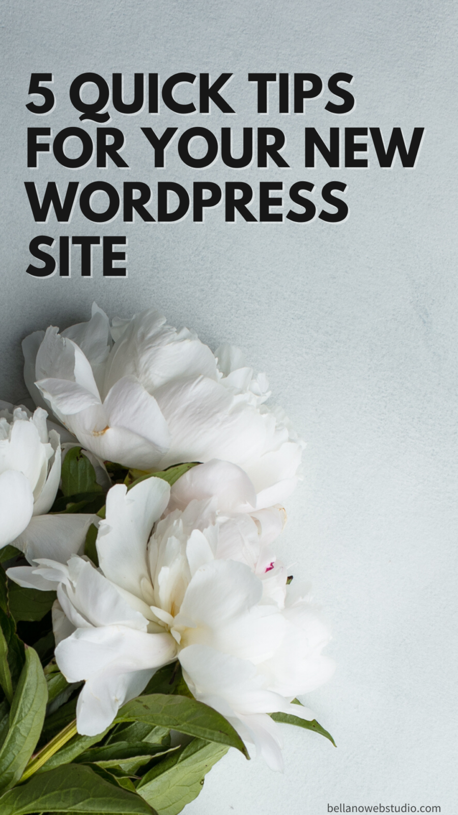 Tips for Your New WordPress Site