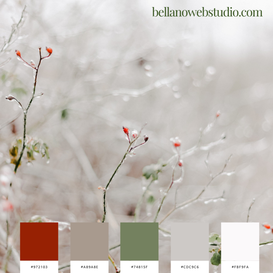 Winter-Inspired Color Palettes