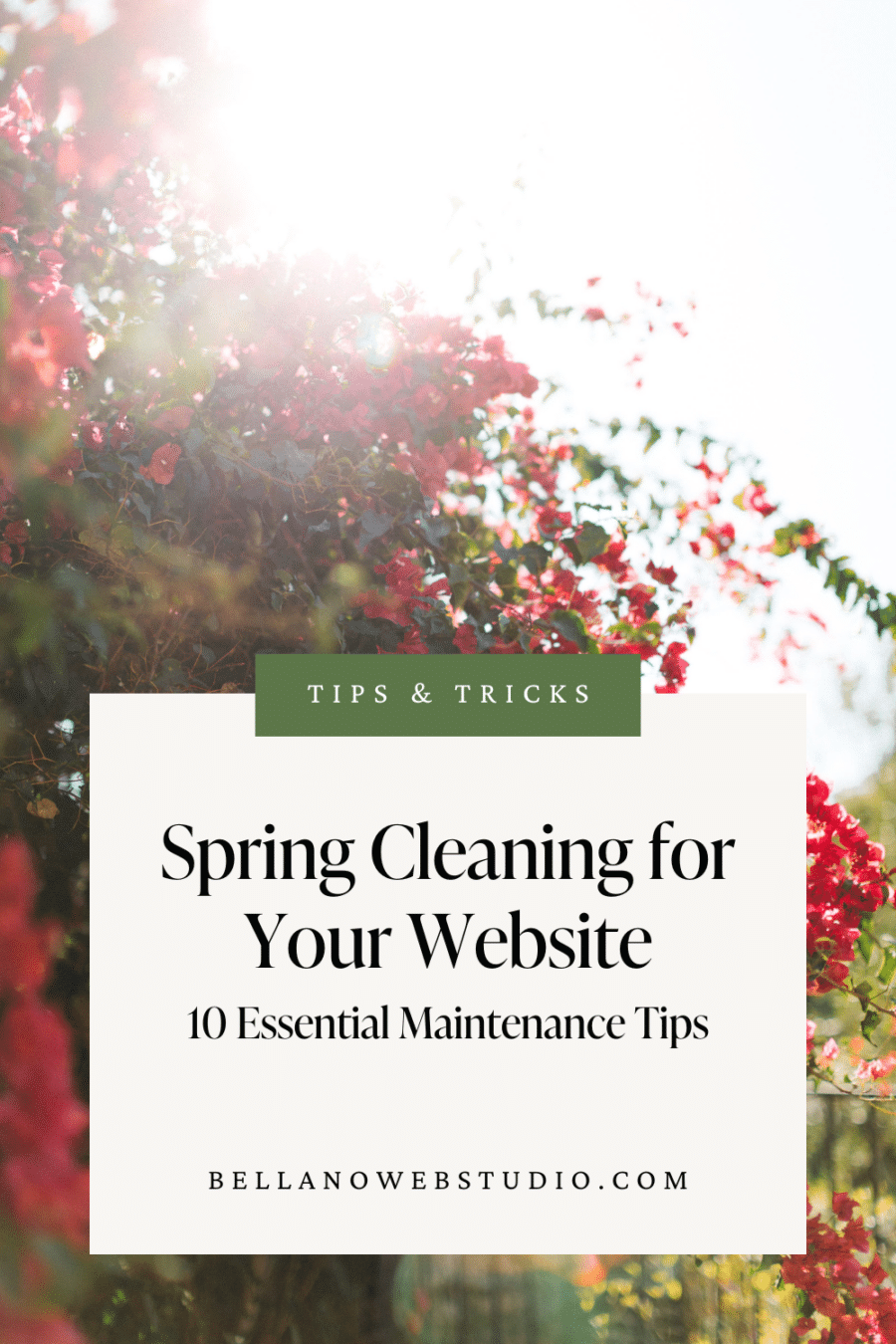 Spring Website Maintenance