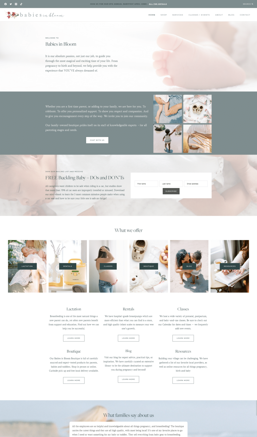 Website Redesign with VIP Day - Babies in Bloom