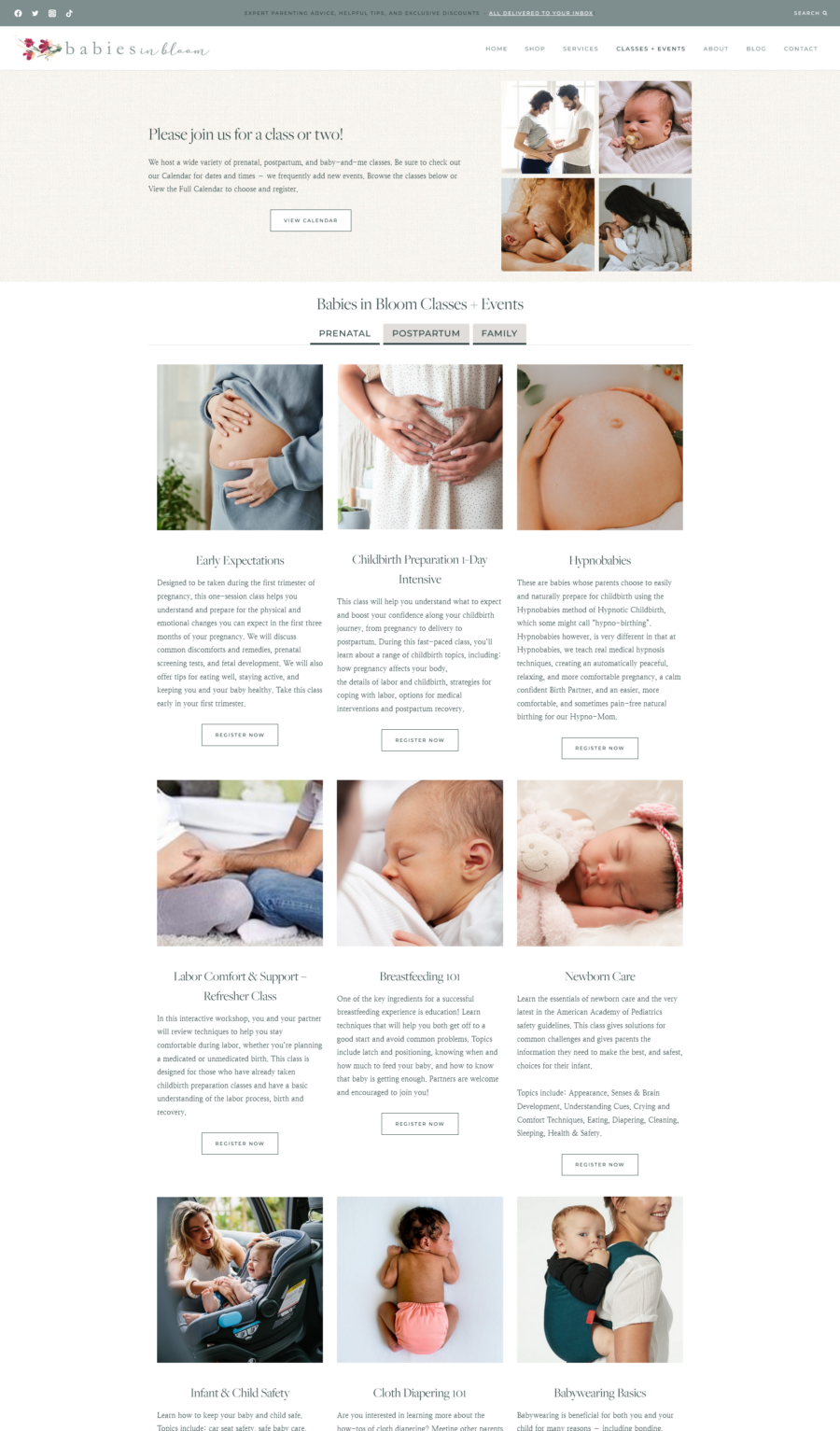 Website Redesign with VIP Day - Babies in Bloom