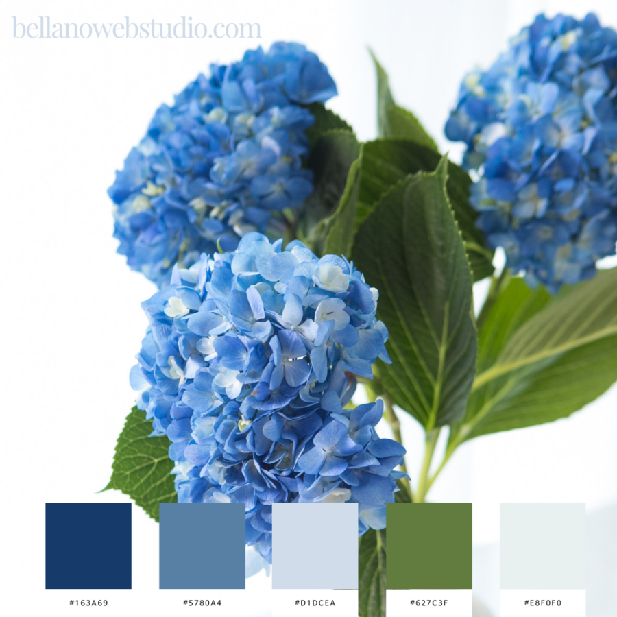 Navy Blue Color Palettes