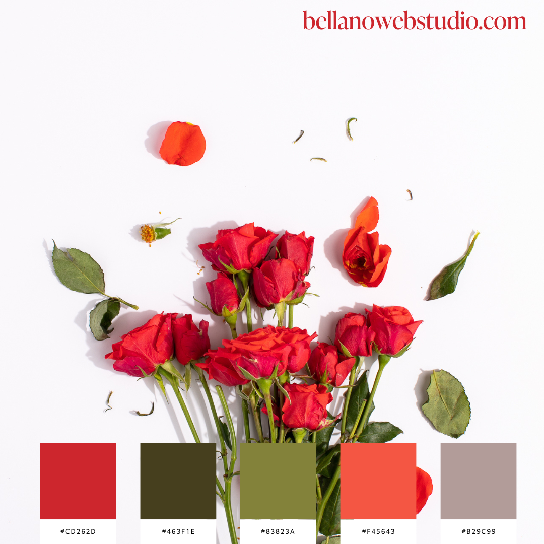 Valentine's Day Colors of Love