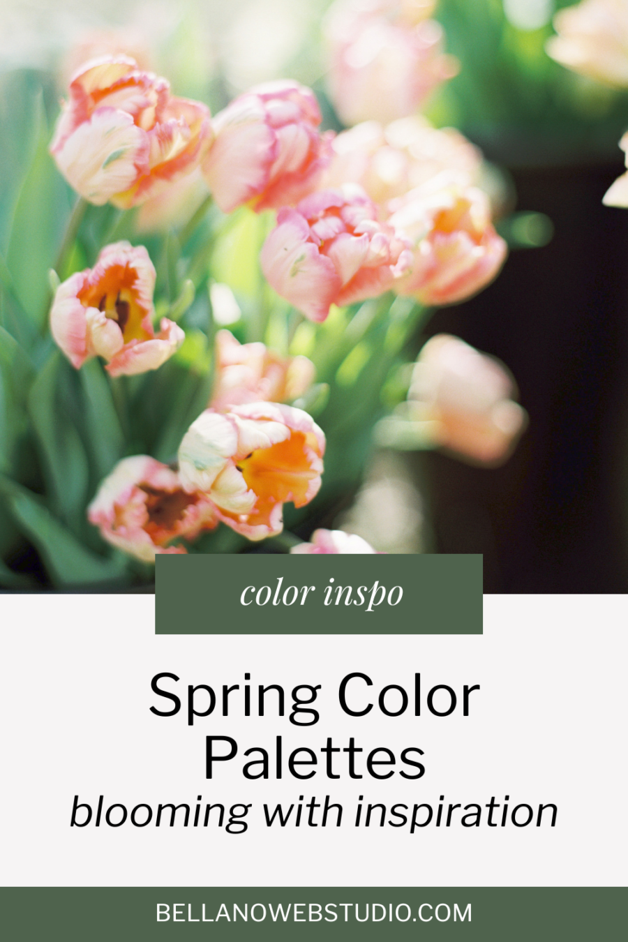 Spring Color Palettes