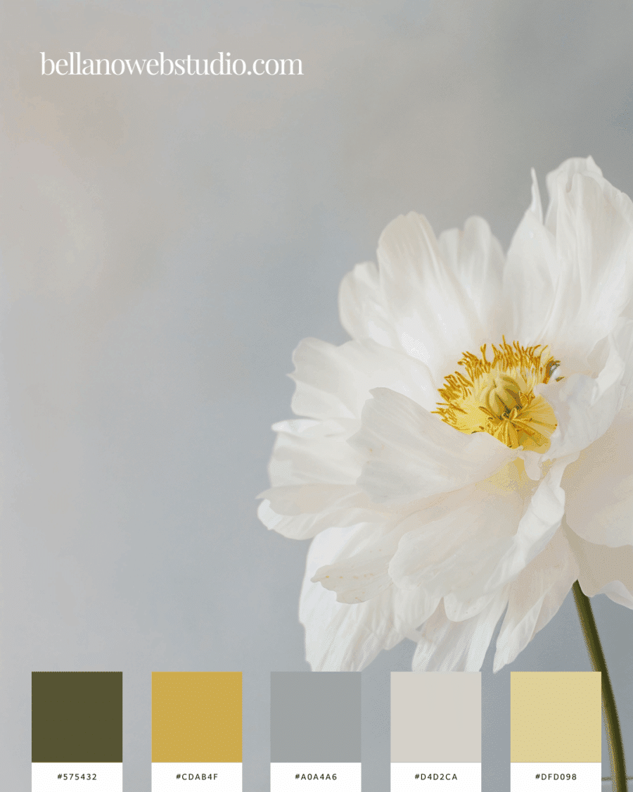 light and airy color palettes