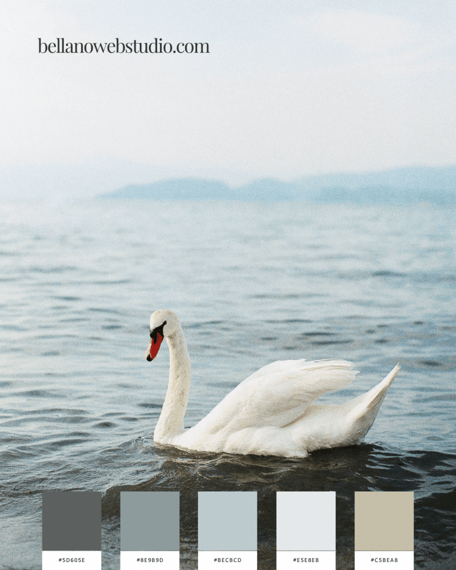 light and airy color palettes